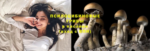 шишки Алексеевка