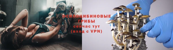 дживик Армянск