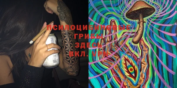 Альфа ПВП Аркадак