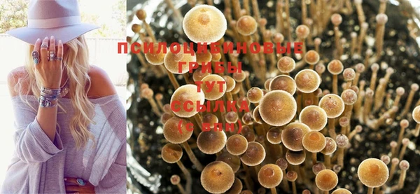 дживик Армянск