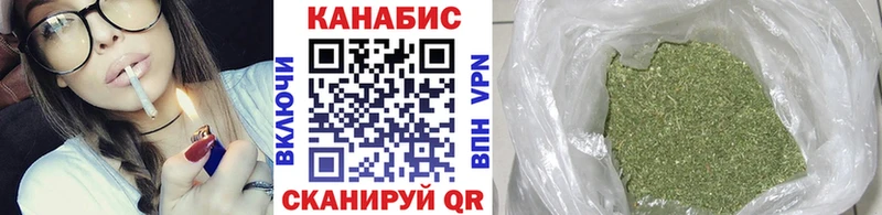 где купить наркоту  Козьмодемьянск  Конопля сатива 